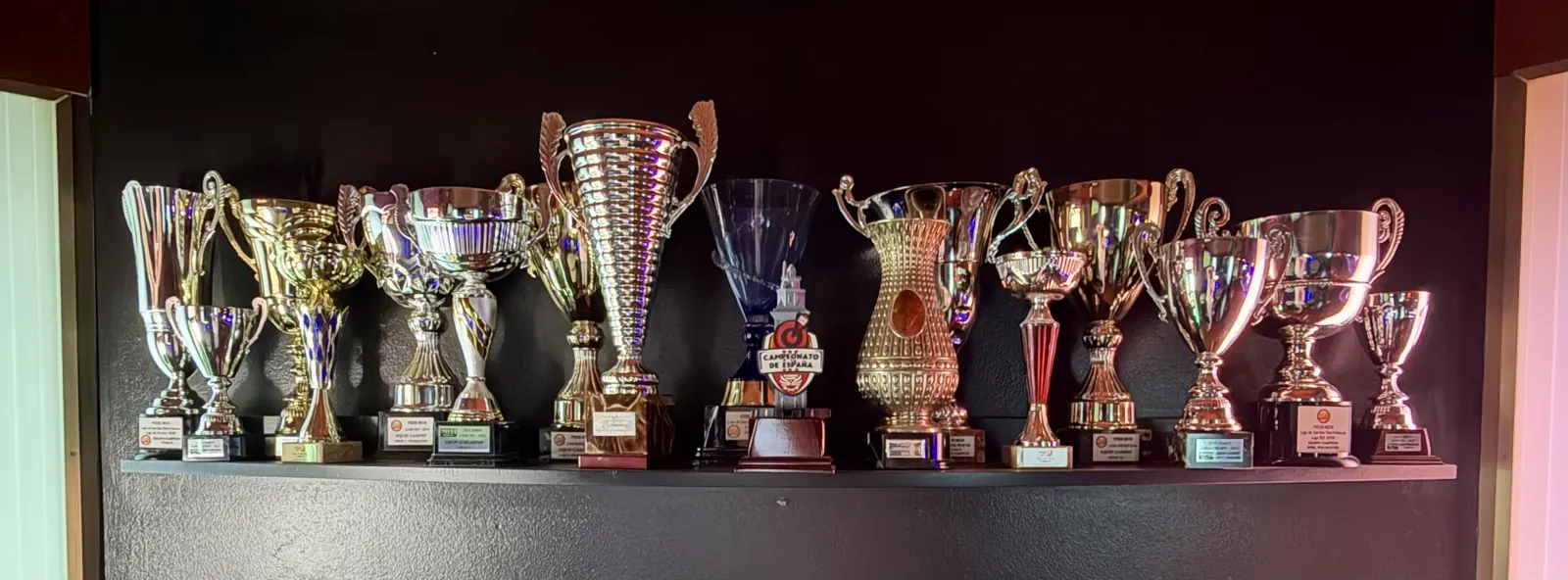 Trofeos del Club de Dardos Jymmy's